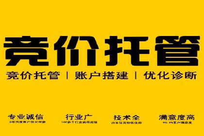 某电商平台的SEM推广策略及效果分析